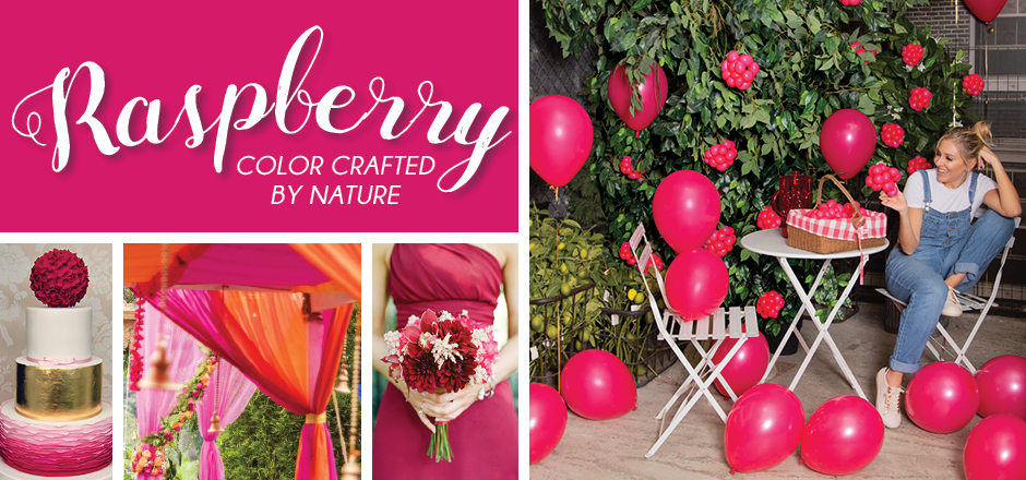 Deluxe Raspberry Header